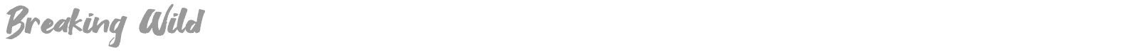 Breaking Wild font preview